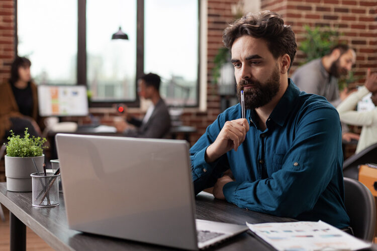 Curiosidades sobre o leilão